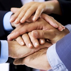 Quais as características de um bom sócio